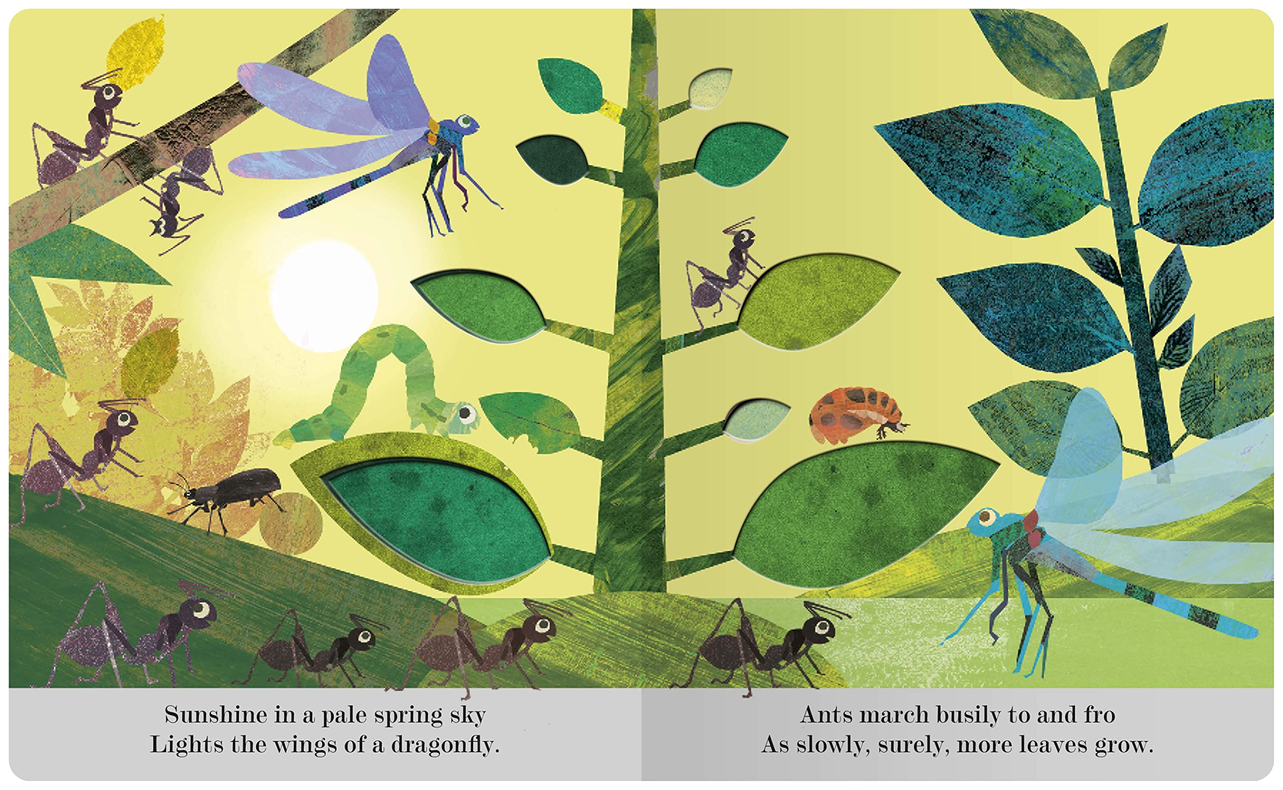 Bugs: A Peek-Through Picture Book - Image 4
