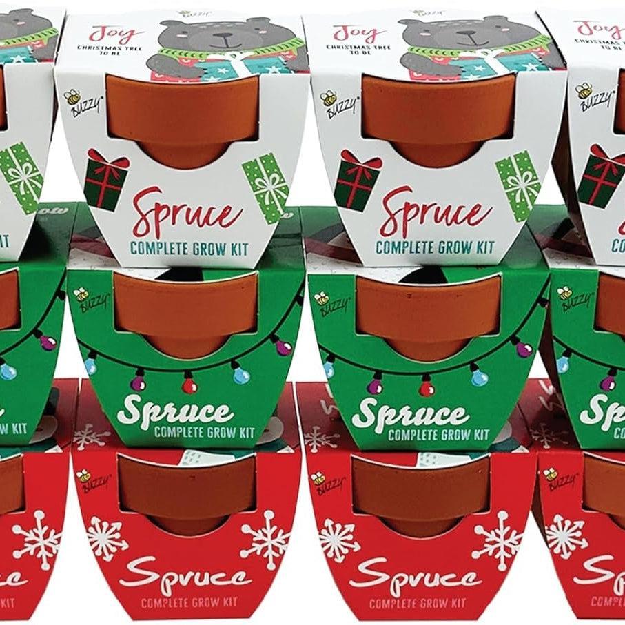 Buzzy Seeds Holiday Mini Terracotta Spruce Tree Grow Pot