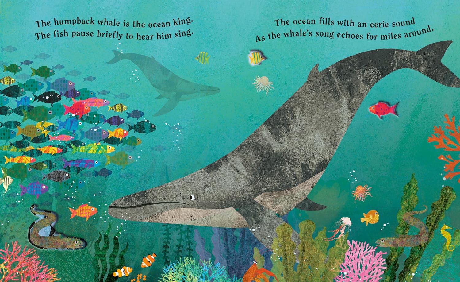 Ocean: A Peek-Through Board Book - Image 4