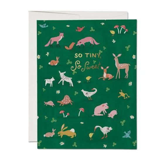 Red Cap New Baby Cards - Image 7