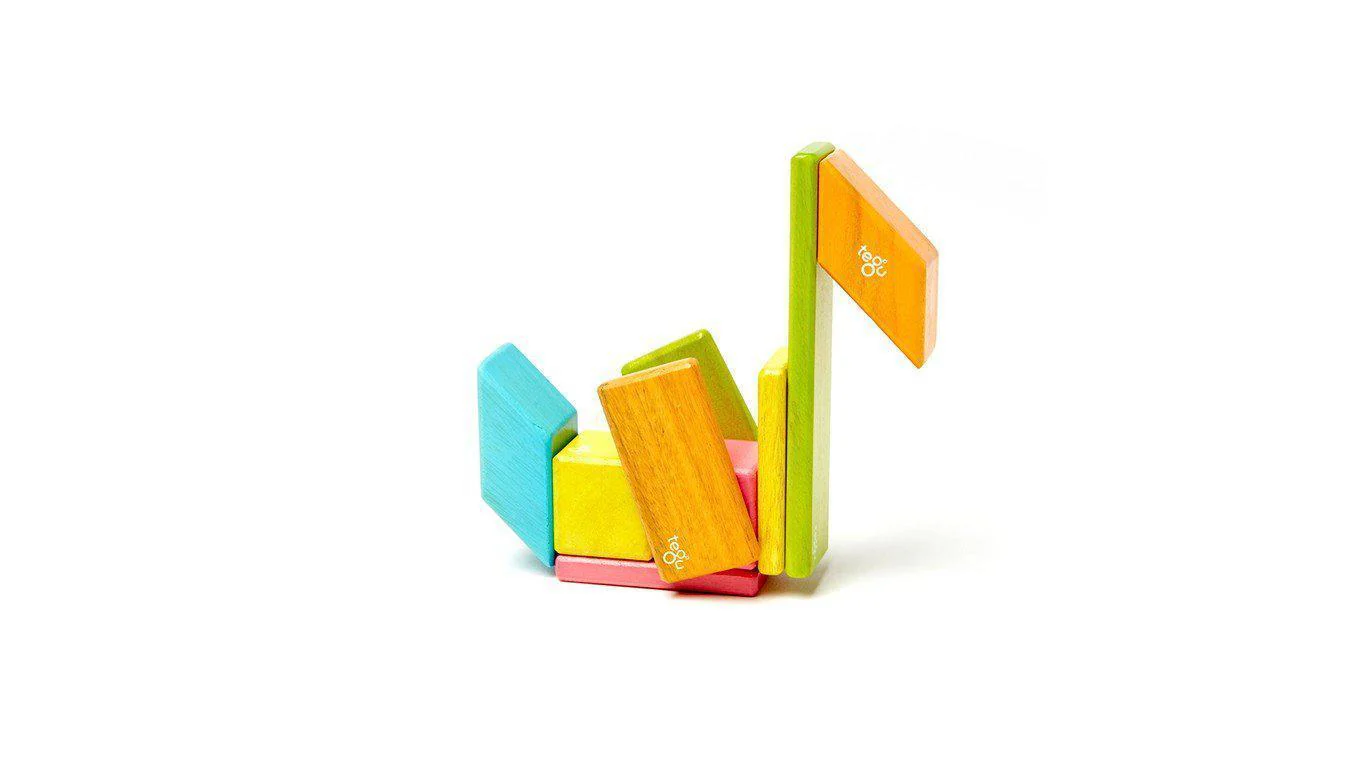 Tegu 14-Piece Magnetic Wooden Block Set - Image 4
