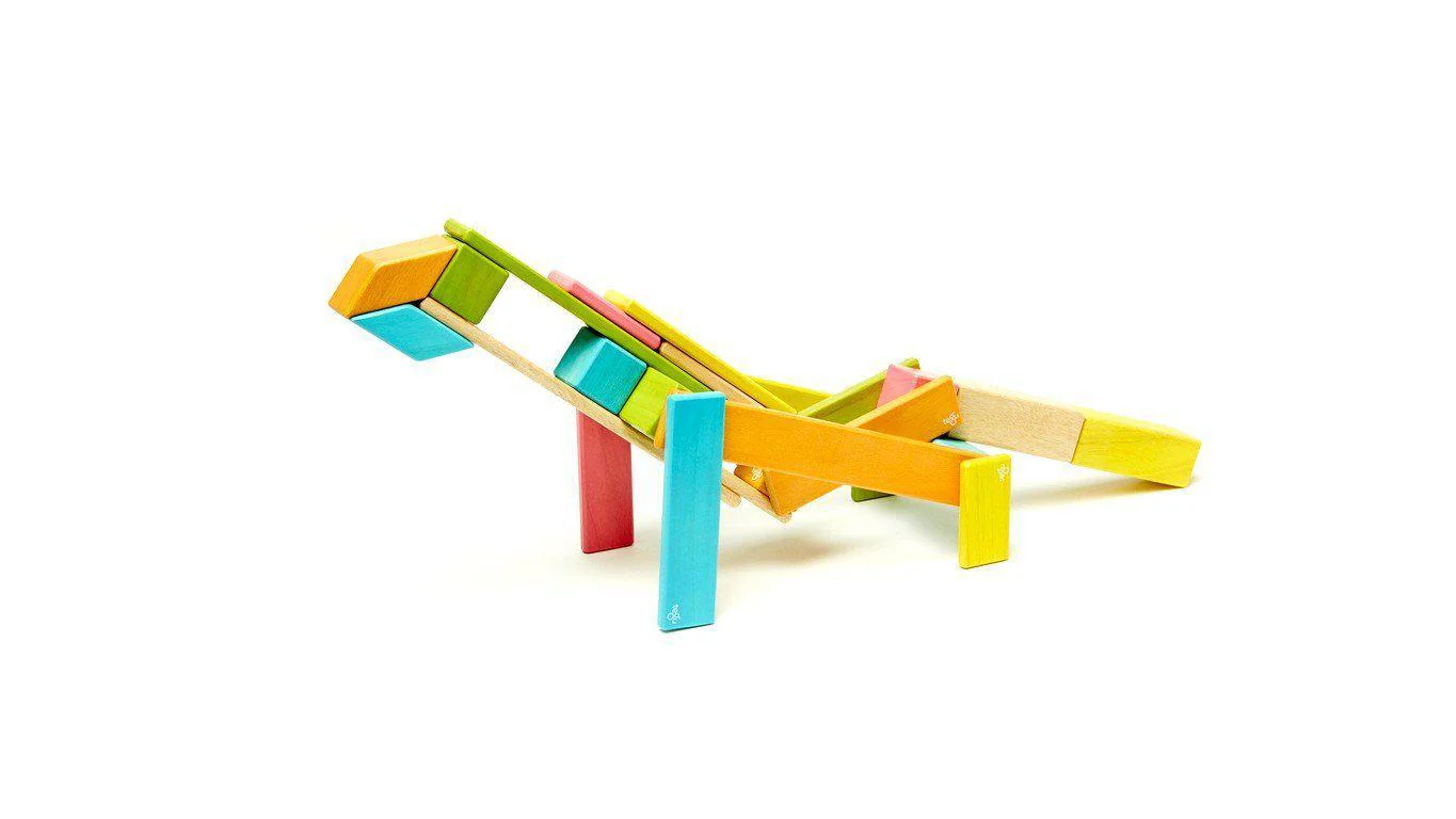 Tegu 24-Piece Magnetic Wooden Block Set - Image 5
