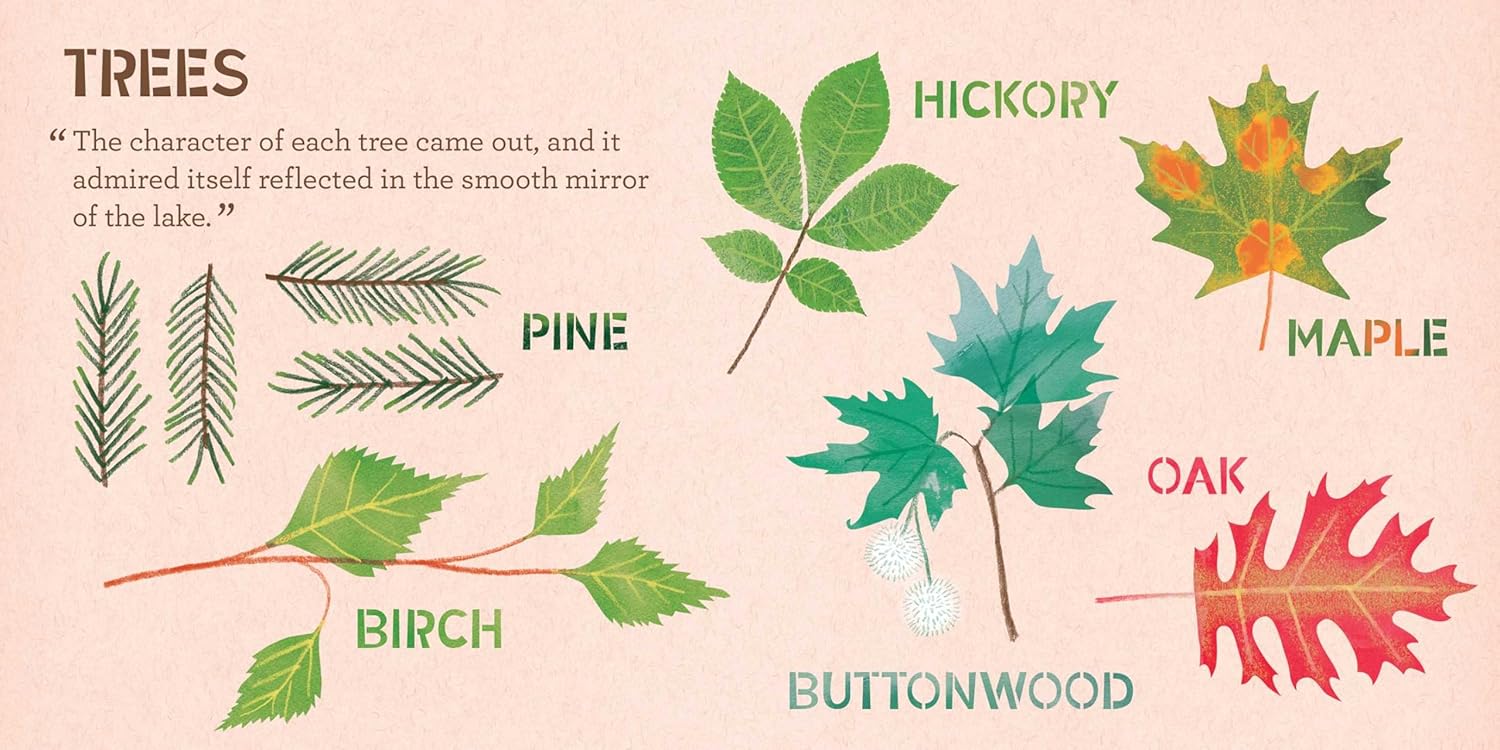 Walden: A BabyLit Nature Primer - Image 3