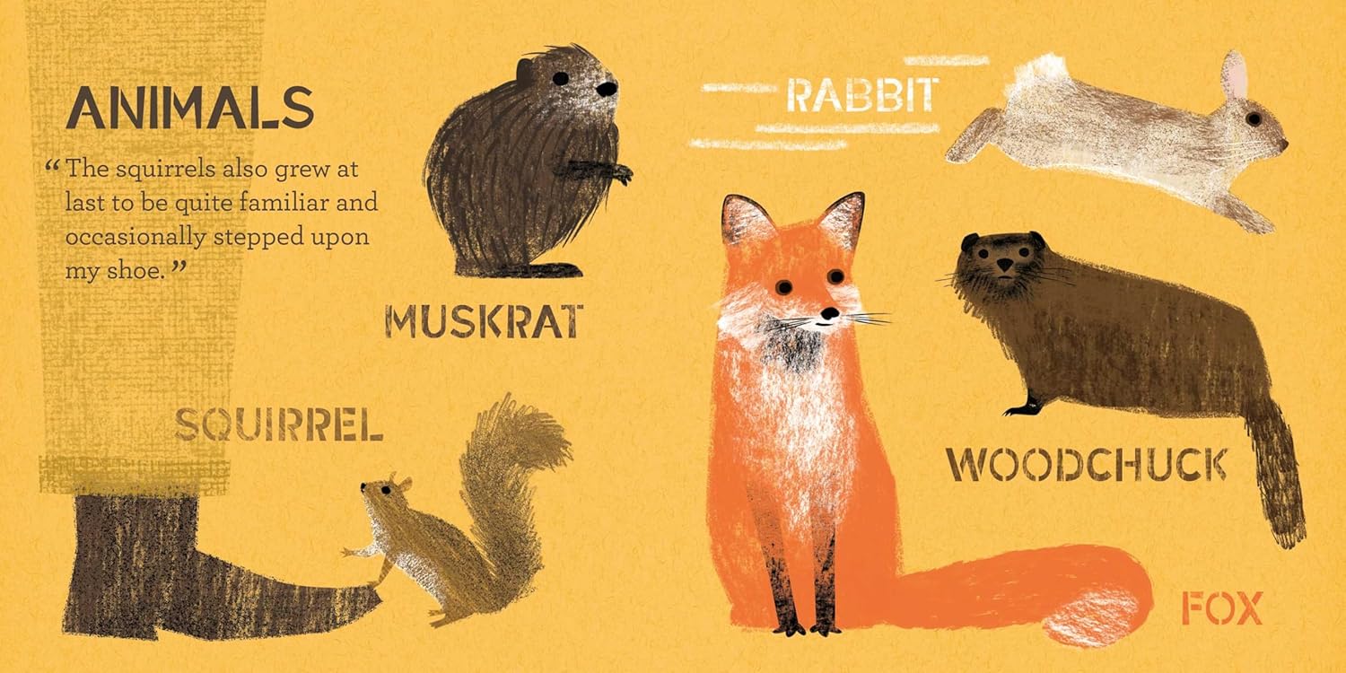 Walden: A BabyLit Nature Primer - Image 4